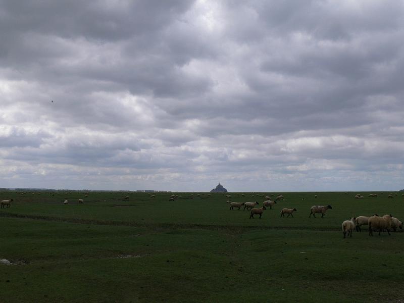 Mont Saint Michel 2010 - 409.jpg
